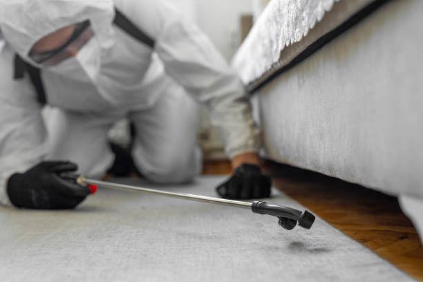 Professional Termite Control technician working in Woodville, FL