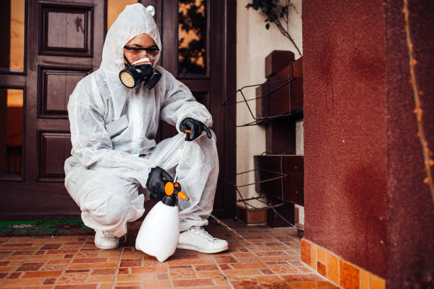 Reliable Termite Control contractor in Woodville, FL by Nex Pest Control