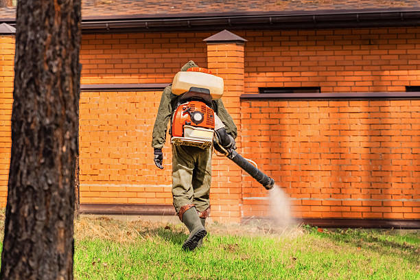 Trusted Ant Control service in Woodville, FL - Nex Pest Control